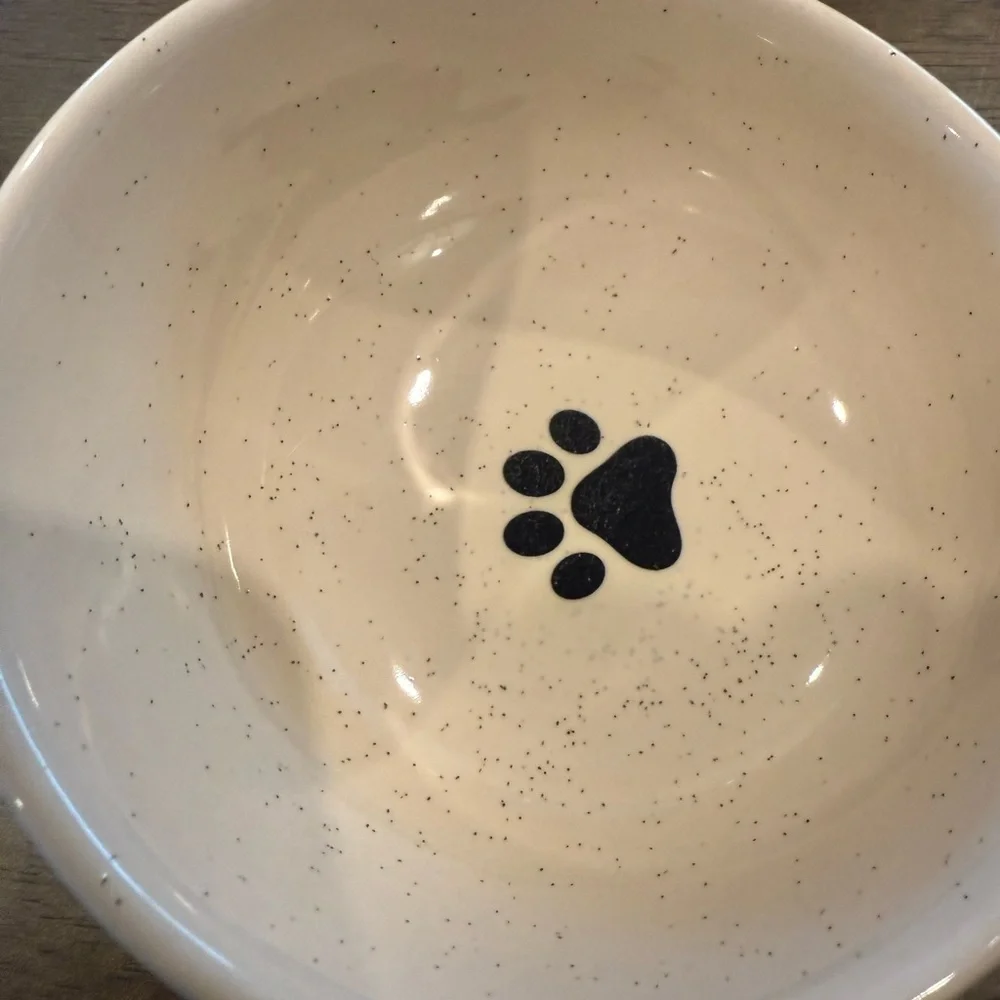Ceramic dog bowl